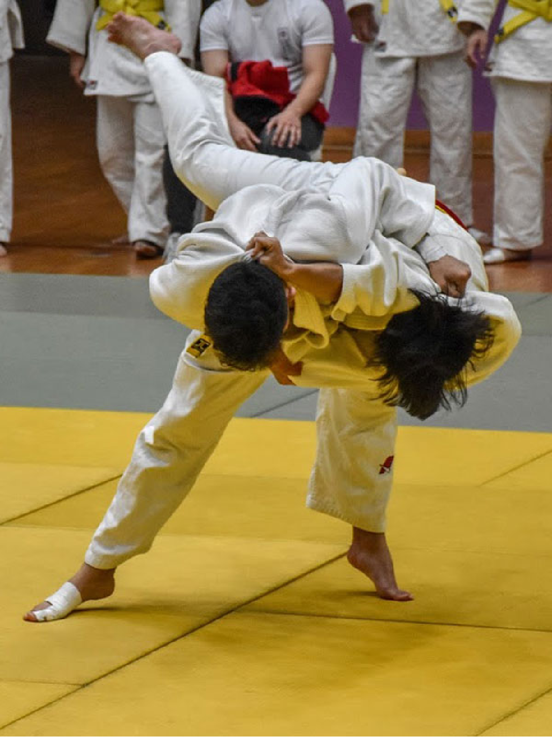 Judo